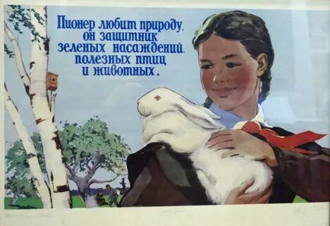 Пионерские дела