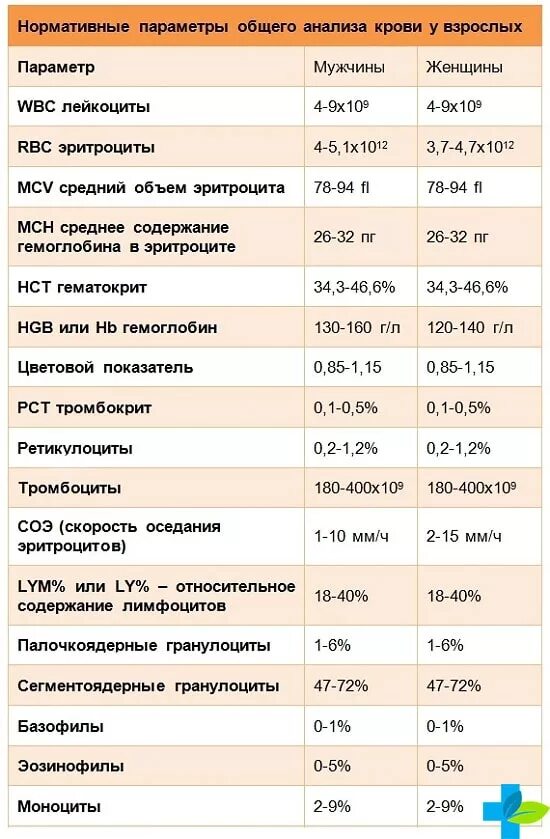 Пояснение анализа крови. Общий анализ крови клинический анализ крови расшифровка. Клинический анализ крови расшифровка аббревиатуры. Клинический анализ крови расшифровка норма таблица. Показатели общего анализа крови развернутого.