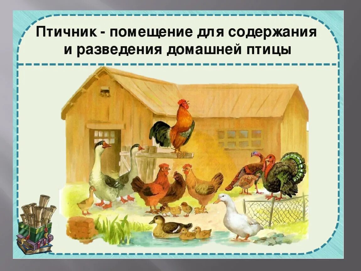 День домашних птиц. Игра птичий двор Нищева. Картина птичий двор Нищева. Домашние птицы. Тема домашние птицы.