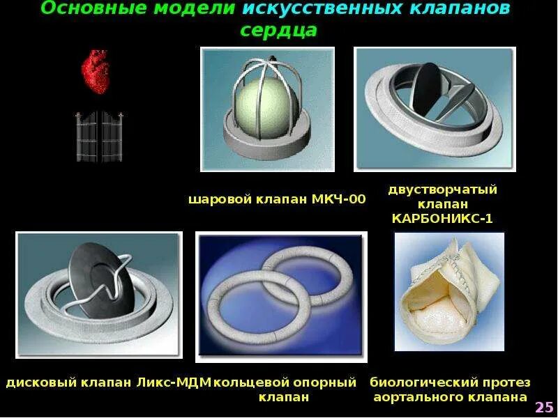 Положение двухстворчатого клапана
