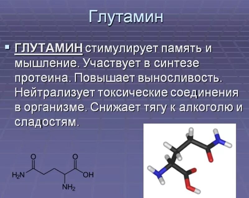 Голодная кислота. Глутамин  функции биологические. Глутамин функции в организме человека. Глутамин роль в организме. Глютамин роль в организме.