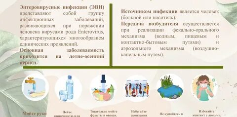 Источником энтеровирусной инфекции является