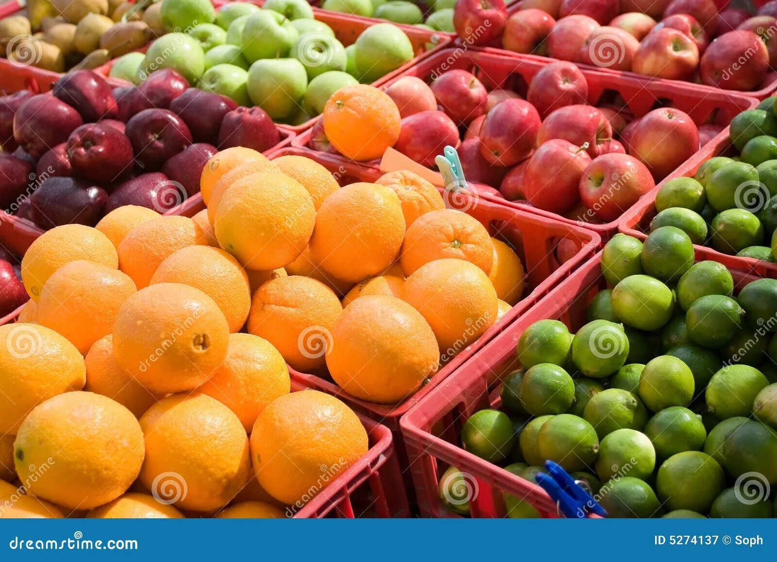 Склад овощей. Овощи фрукты из узбекистана. База овощей и фруктов в спб на софийской. Фрукты ассортимент. Плодово овощная база.