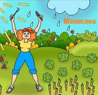 Игра стоп земля
