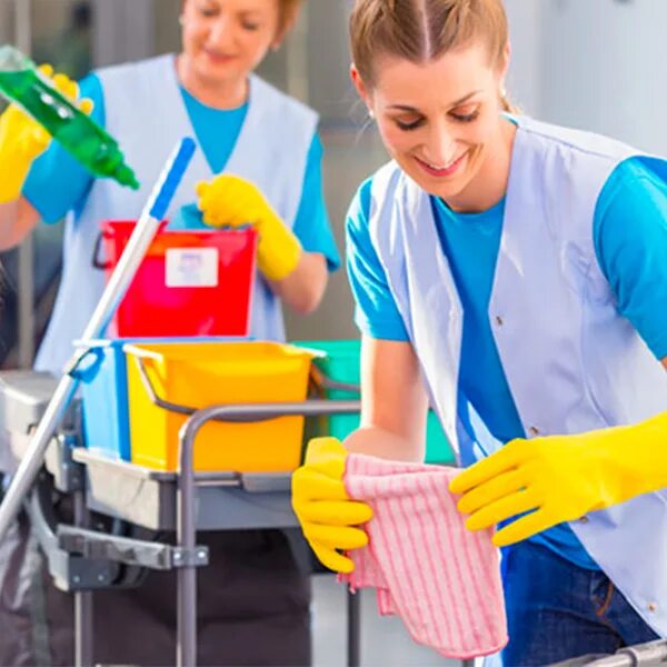 Cleaning project
