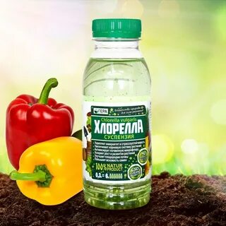 Хлорелла для растений