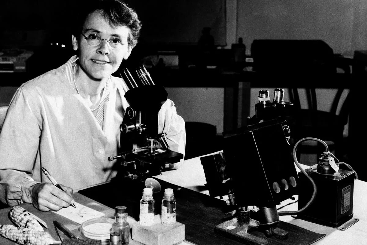 Изобретатель никола тесла. Ученые изменившие мир книга уилкинсон. Женщина ученый ссср. Циолковский космические пророчества. Известные личности коллаж.