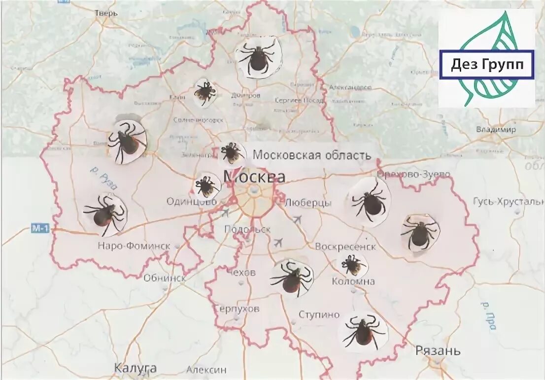 Энцефалитный клещ карта Московской области. Карта энцефалитных клещей в Московской области. Энцефалитные клещи в Подмосковье карта. Боррелиозные клещи в Подмосковье.