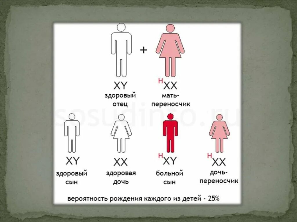 Мама папа заболел. Схема наследования гемофилии. Передается ли гемофилия от отца. Гемофилия презентация.