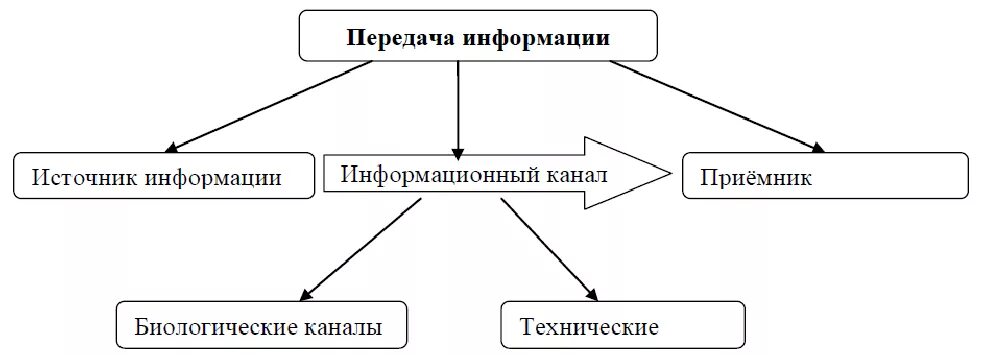 Схема 5 класс информатика. Схема передачи информации в информатике 5 класс. Заполните схему передача информации. Схема передачи информации 5 класс. Заполните схему: «схема передачи информации».