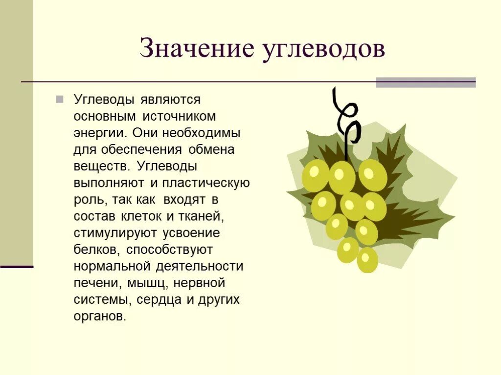 Углеводы и их биологическая роль. Биологическая роль углеводов. Биологическая роль углеводов функции. Углеводы биологическая роль углеводов. Биологическая ценность углеводов кратко.