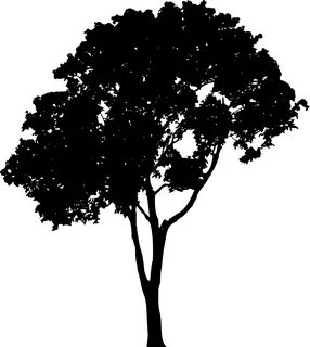 45 Tree Silhouettes PNG Transparent Background.