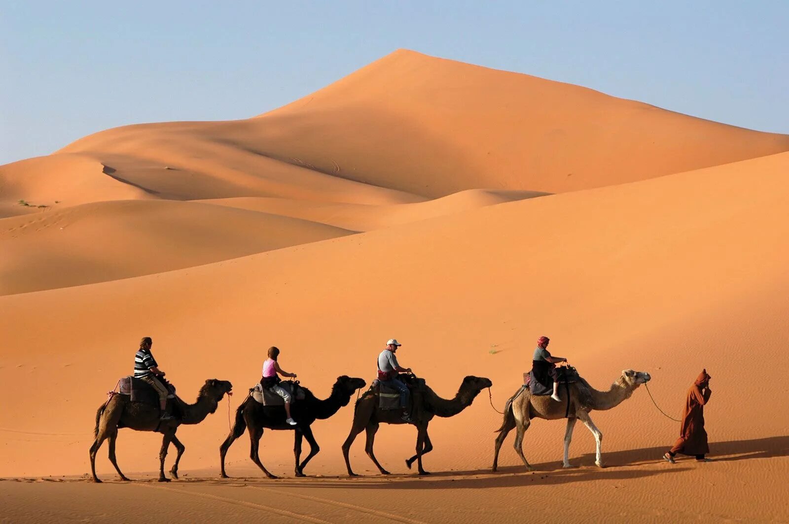 Мерзуга Марокко. Бедуины в Египте. Бедуины Марокко. Караван с верблюдами в пустыне. Караван картинка