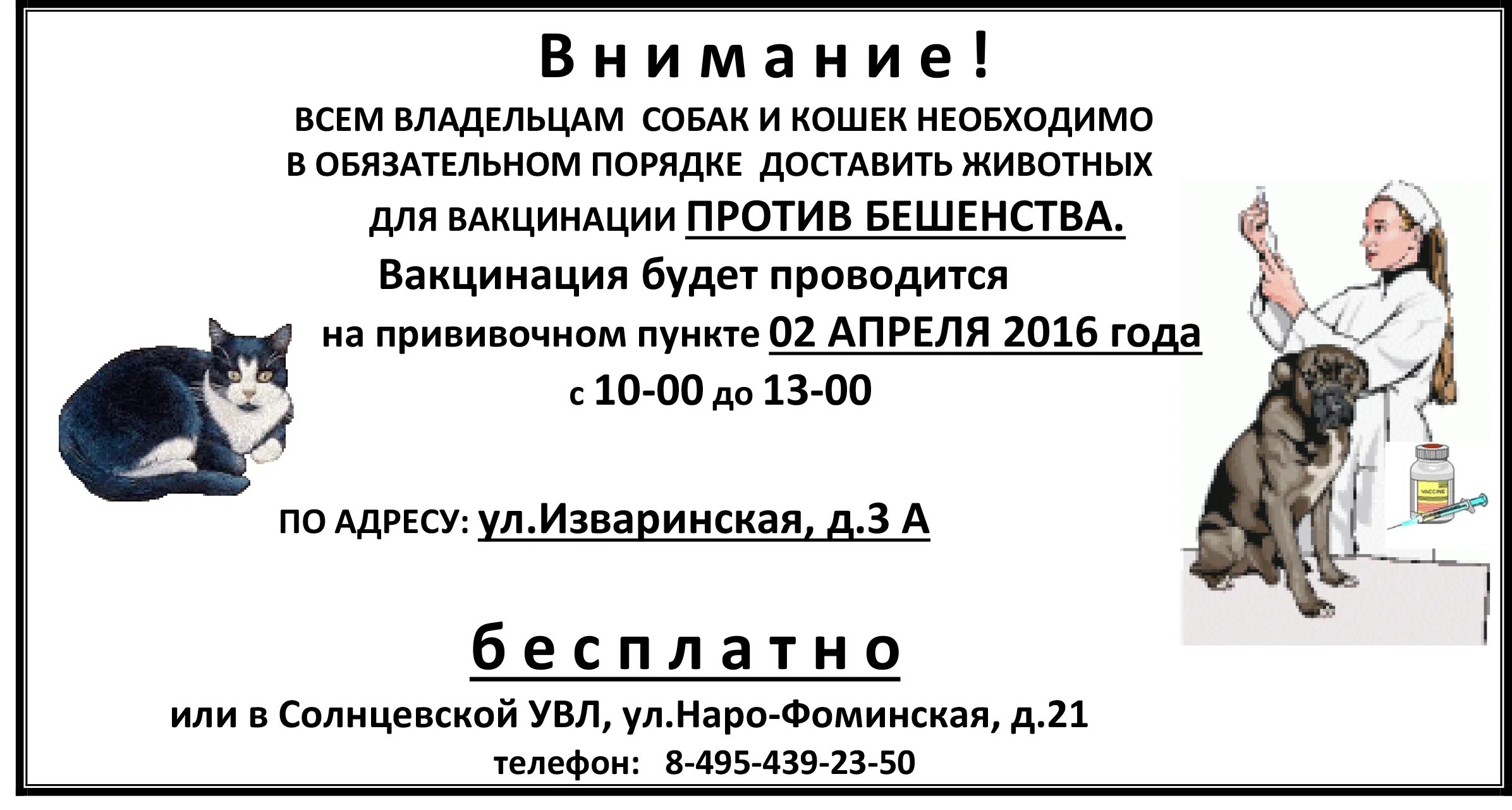 Вакцинация животных 2024 график. Объявление о вакцинации животных. Объявление о вакцинации животных против бешенства. Объявление о проведении вакцинации животных. Объявление о прививках животным.