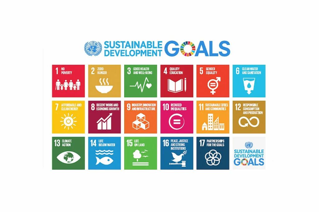 Un sustainable development goals
