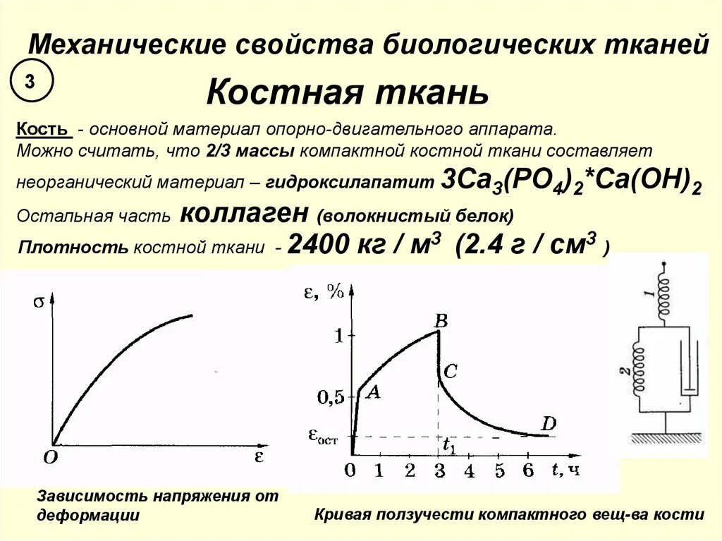 Механические свойства тест. Механические свойства БИОТ. Механические свойства биотканей. Механические свойства биологических тканей костной. Механические свойства биологических тканей физика.