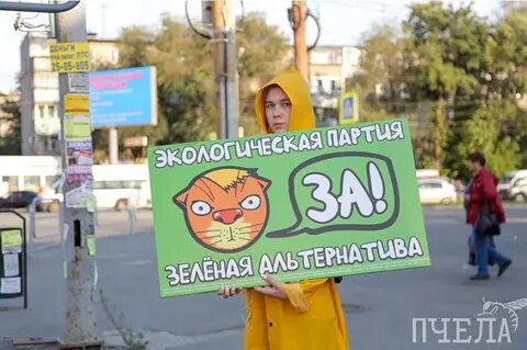 Зеленая альтернатива