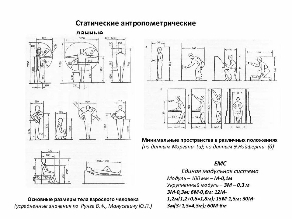 Данные антропометрии. Антропометрические параметры физического здоровья. Антропометрические данные. Данные антропометрии. Данные антропометрии.