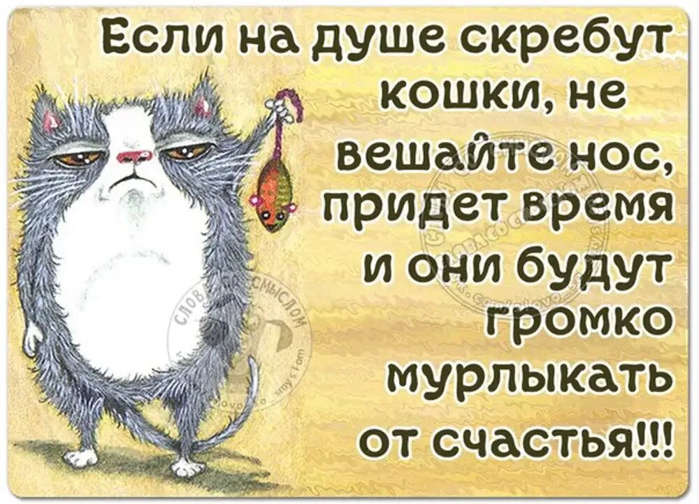 На душе скребутся кошки. Скребут на душе. Выражение на душе кошки скребут. Кошки скребут на душе значение фразеологизма. На душе скребутся кошки фразеологизм