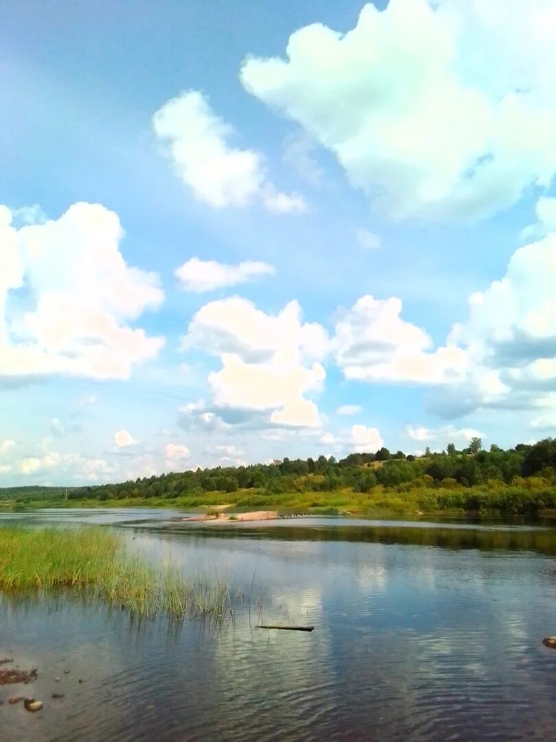 Перхурьево (кубенское сельское поселение). Нижне кубенский харовского. Поселок кубенское вологодская область. Нижне кубенский харовского. Поселок нижне кубенский.