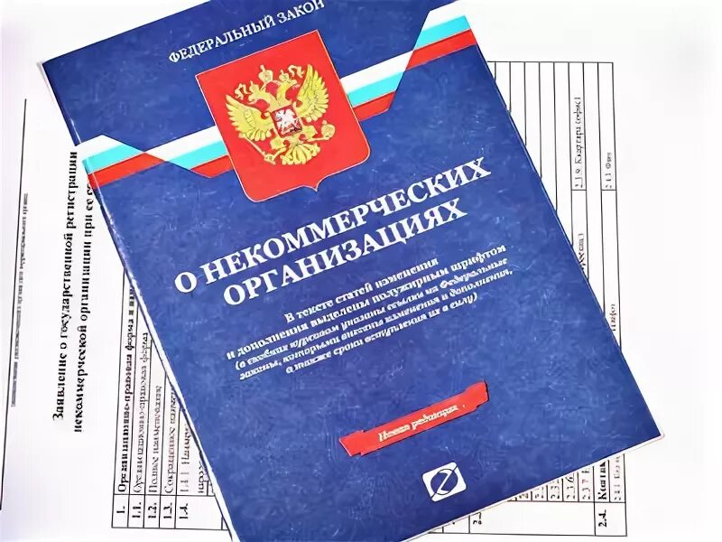 Отчетность НКО. Отчетность некоммерческих организаций. Отчетность НКО В Минюст. Минюст сдача отчетности некоммерческих организаций.