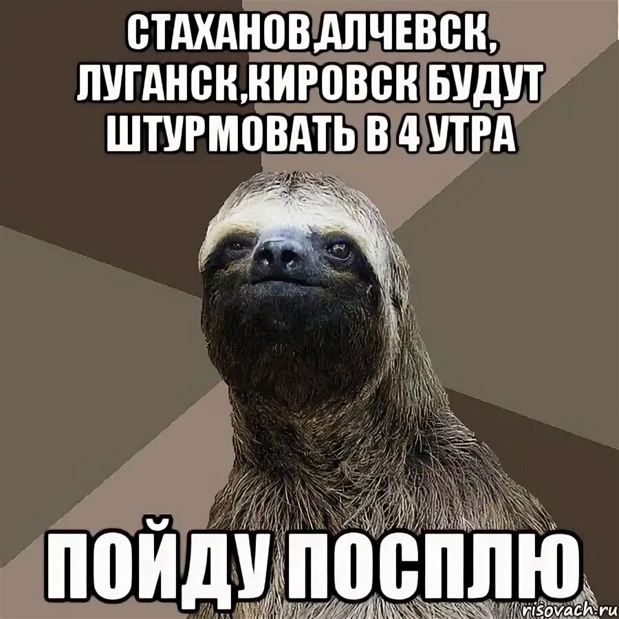 Утром пойдешь. Стаханов Мем. Луганск мемы. Мемы с ленивцами с днем рождения. Ленивец стартер Мем.