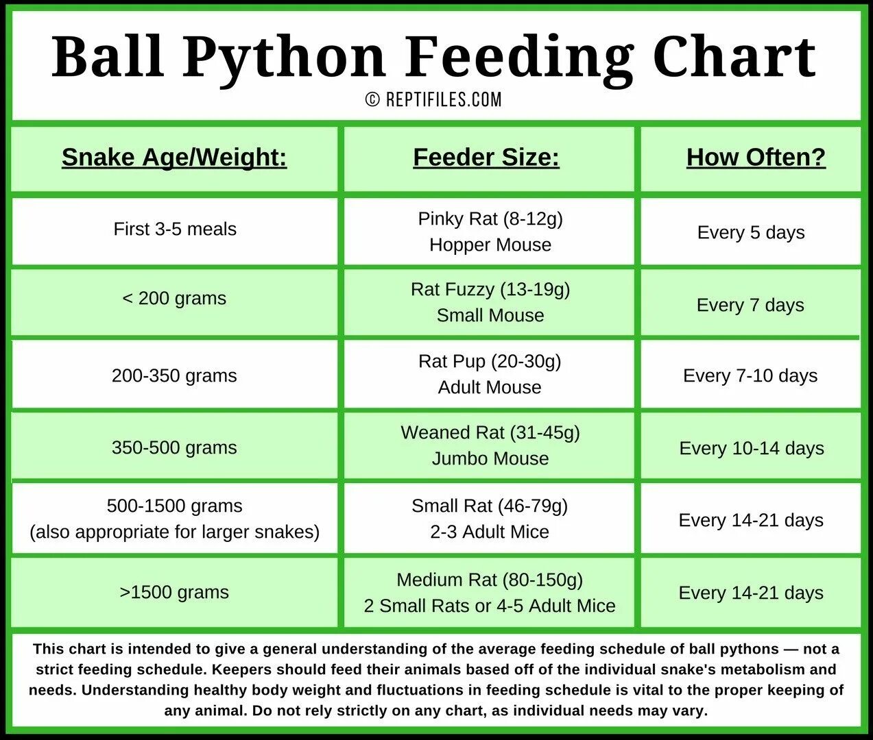 Inches python. Size python. ball python перевод. which kinds of projects are с and python more appropriate for,.