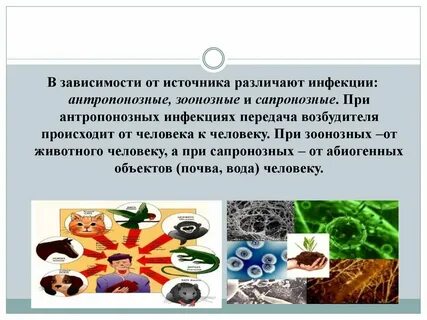 Источник антропонозных заболеваний является