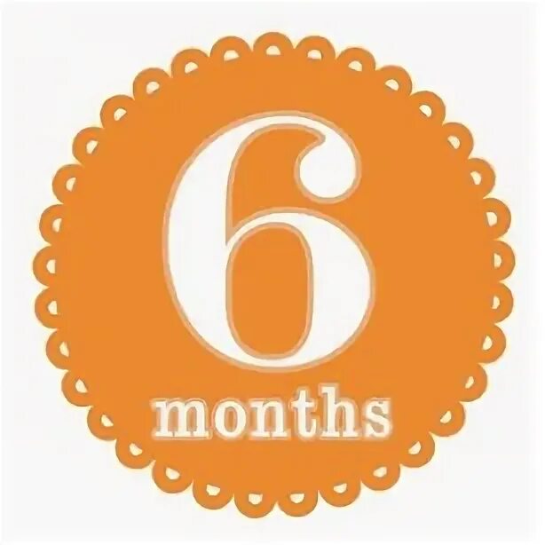 6 Months надпись. 6 Months картинка. 6 Months картиной. 5 Months картинки. Сайт months