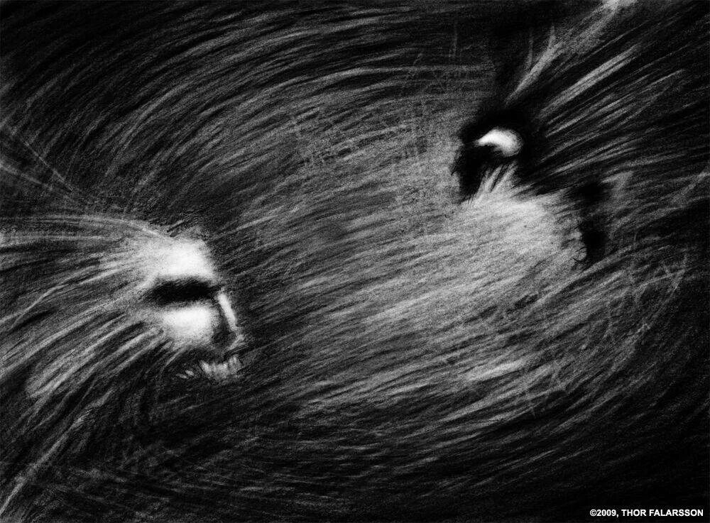 Darkness визуалы