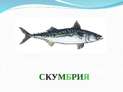 Рыбы картинки с названиями для детей