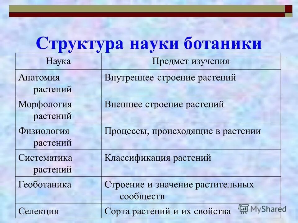 Значение ботаники 6 класс. Значение ботаники 6 класс. Разделы ботаники список. Ботаника это наука изучающая. Разделы ботаники.