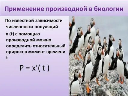 Применение производной в биологии