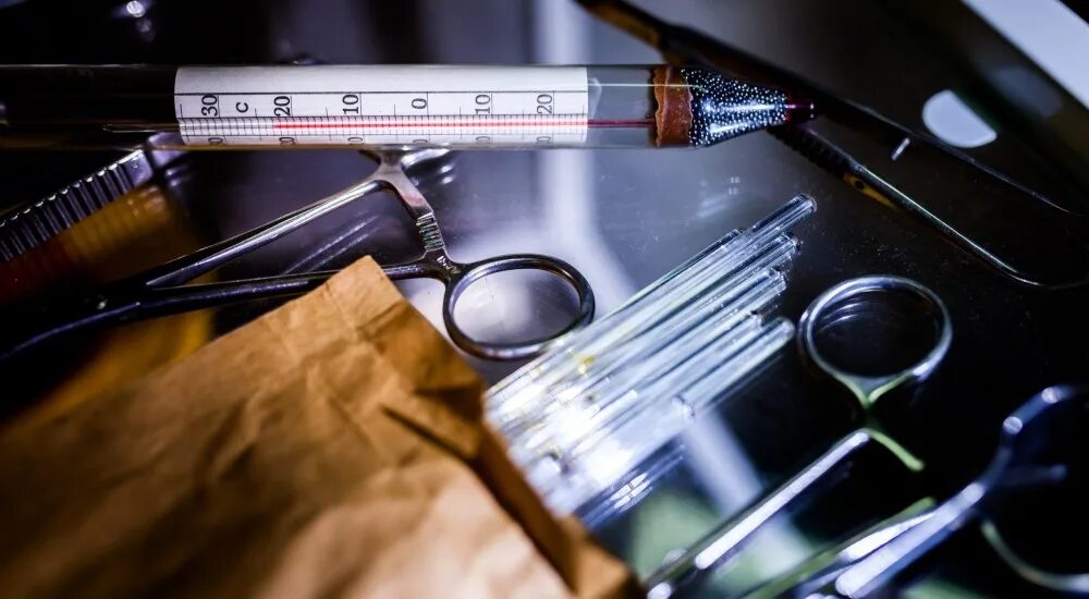 квест чистые игры. чистый разум психушка квест. чистый разум квест 2 часть. городская экология. квест чистые игры.