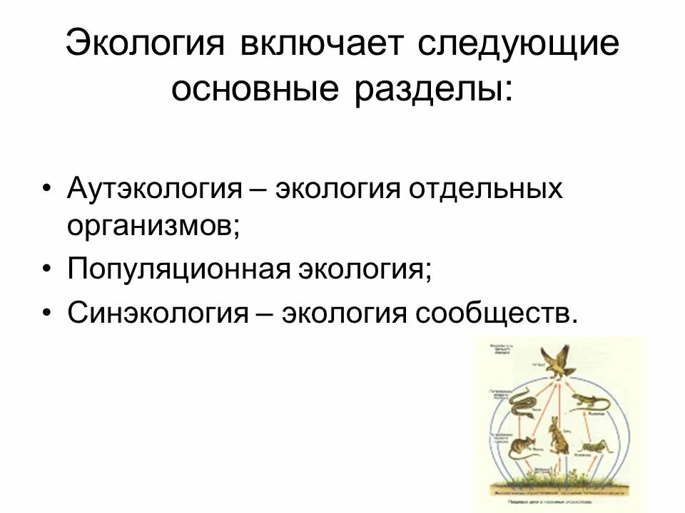 Аутэкология какой уровень организации живых. Аутэкология и синэкология. популяционная экология и синэкология. разделы экологии синэкология аутэкология. синэкология это экология.