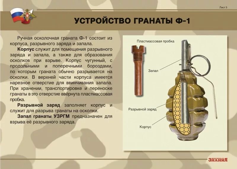 Гранаты ф1 и РГД. Боевая граната РГД-5. Граната РГД И ф1. Устройство гранаты РГД 5 И ф1.