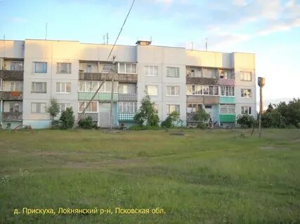 Погода прискуха