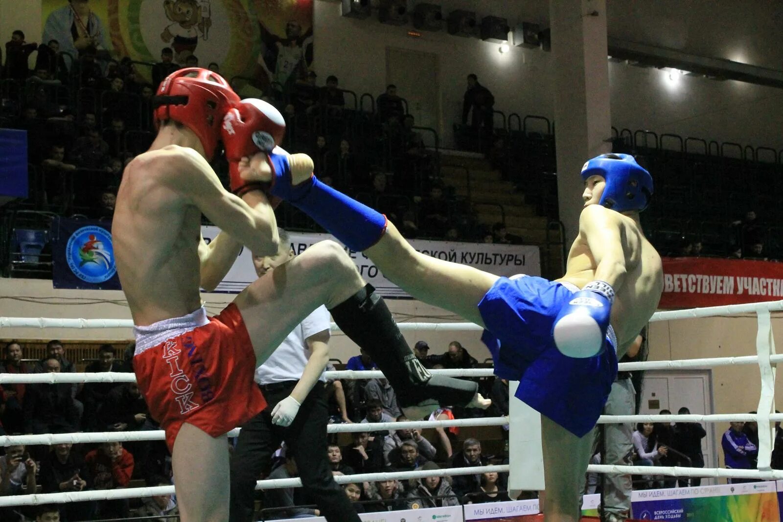 Кикбоксинг димитровград ультиматум. Лучший кикбоксинг. Легенды кикбоксинга. Лучший кикбоксинг. Кикбоксинг якутск.