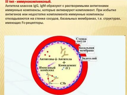 Повреждение иммунными комплексами