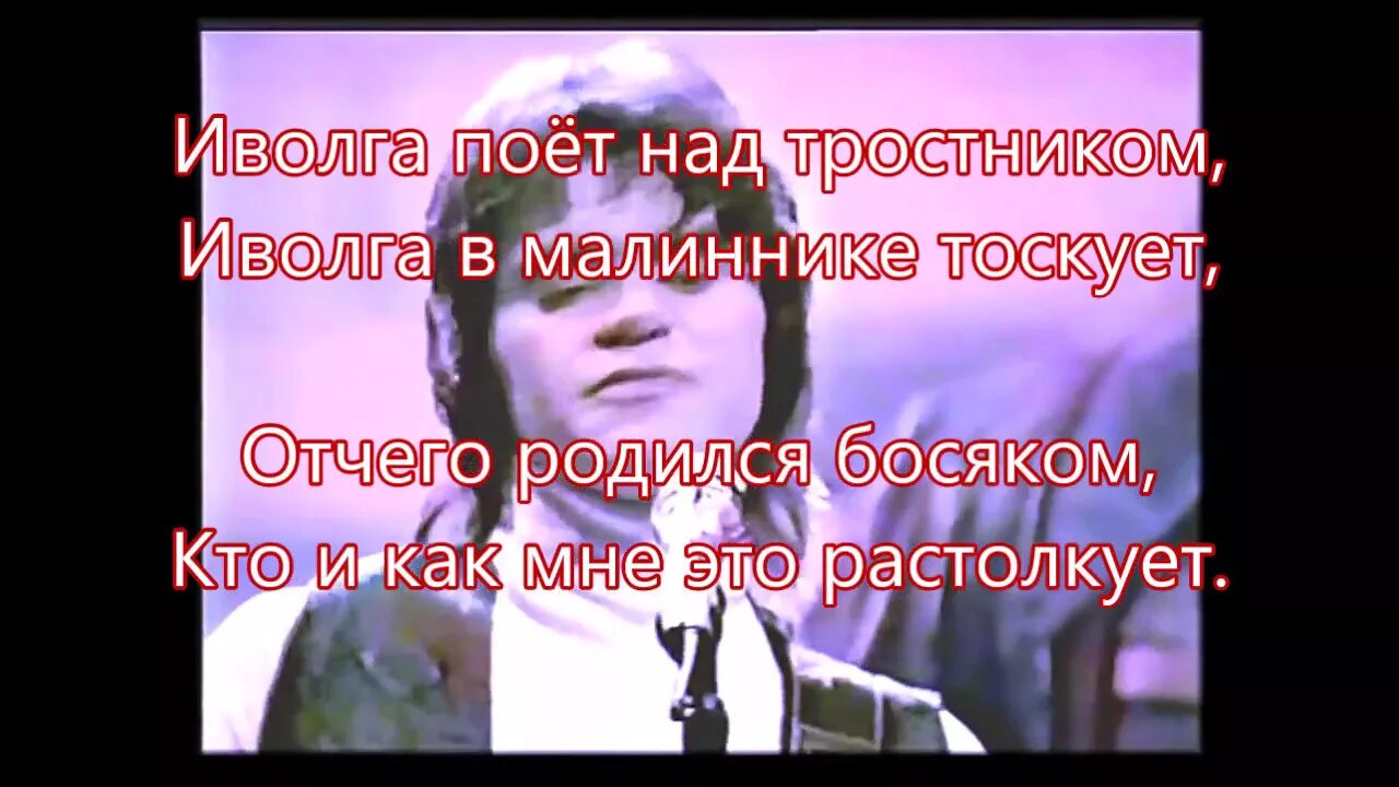 Иволга поет над родником. Иволга, в малиннике тоскует. Песня Иволга в малиннике.