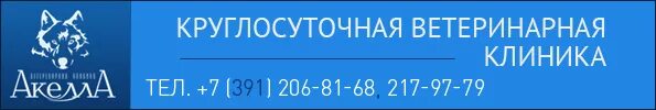 Ветеринарная клиника Саранск центр. Круглосуточная ветеринарная клиника. Круглосуточная ветеринарная клиника Красноярск. Круглосуточные ветклиники. Государственная ветеринарная клиника телефон и адрес