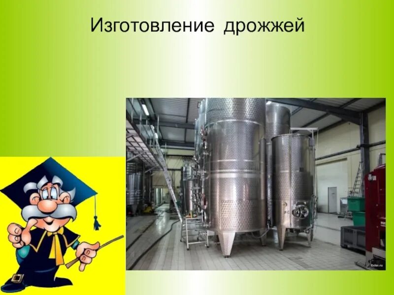 Завод дрожжей в воронеже. Дрожжерастильный аппарат вда-100. Завод текилы в мексике. Сбраживание пивного сусла. Дрожжевой цех.