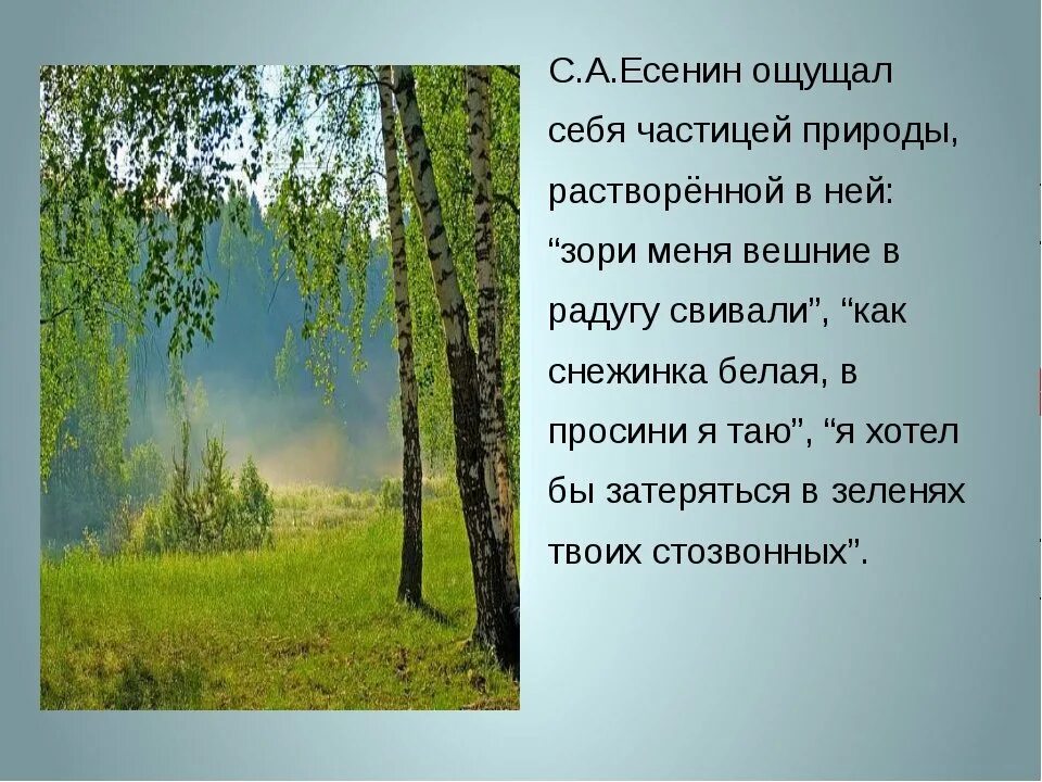 Утро описание природы. Стих на тему природа. Стихотворение Есенина о природе. Природа в русской поэзии. Родная природа в русской поэзии.
