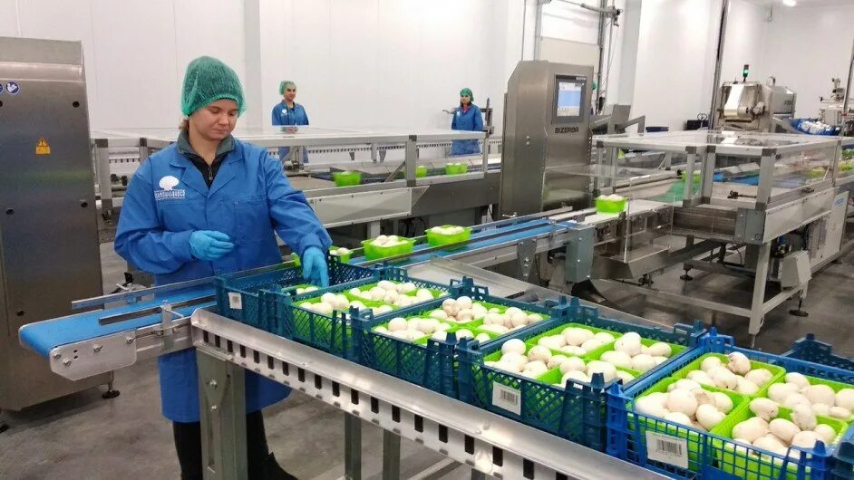 кабельный завод кабель-пром калуга. прокуратура жуковского района. работа в дзержинском районе калужской. работа в дзержинском районе калужской. деревня галкино калужская область дзержинский район.