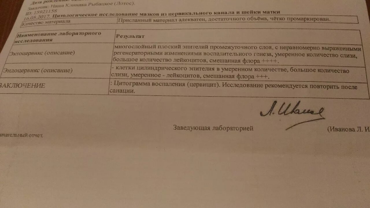 Цитограмма умеренно. Цитограмма умеренно
