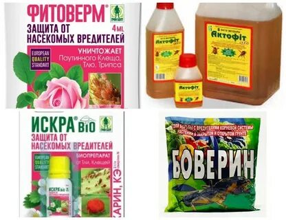 Средство от паутинного клеща