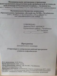 Рабочая программа учителя дефектолога