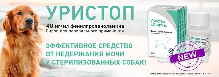 Собака пить после операции