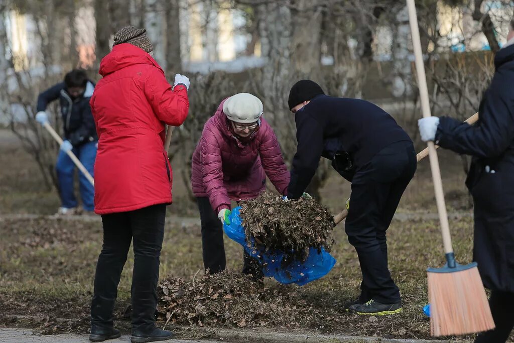 Добрые дела женщины. Добрые дела. Добрые поступки. Город добрых дел. Добрые дела людей.