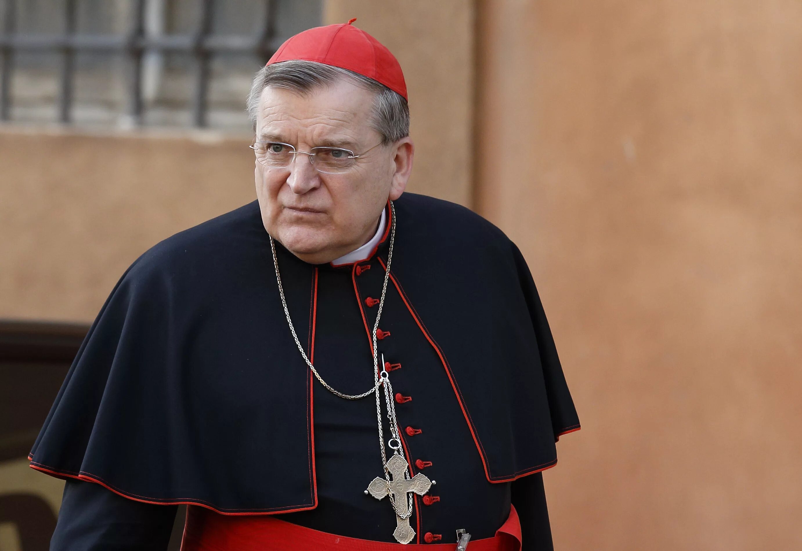 Кардинал кратко. Кардинал берк. raymond cardinal burke. кардинал игнатиус глик. кардинал вигманштадт.